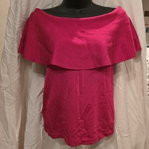 Ann Taylor Vibrant Pink Knit Top